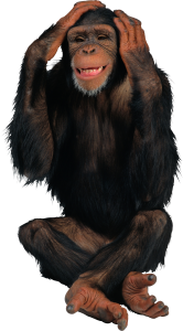 Monkey PNG-18738